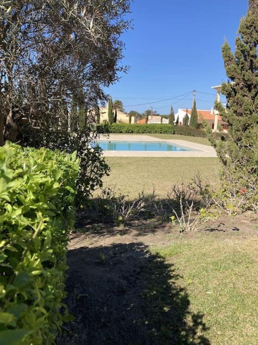 Panorama Apartment Sagres *Pool* Exterior foto