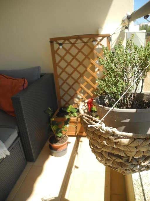 Panorama Apartment Sagres *Pool* Exterior foto